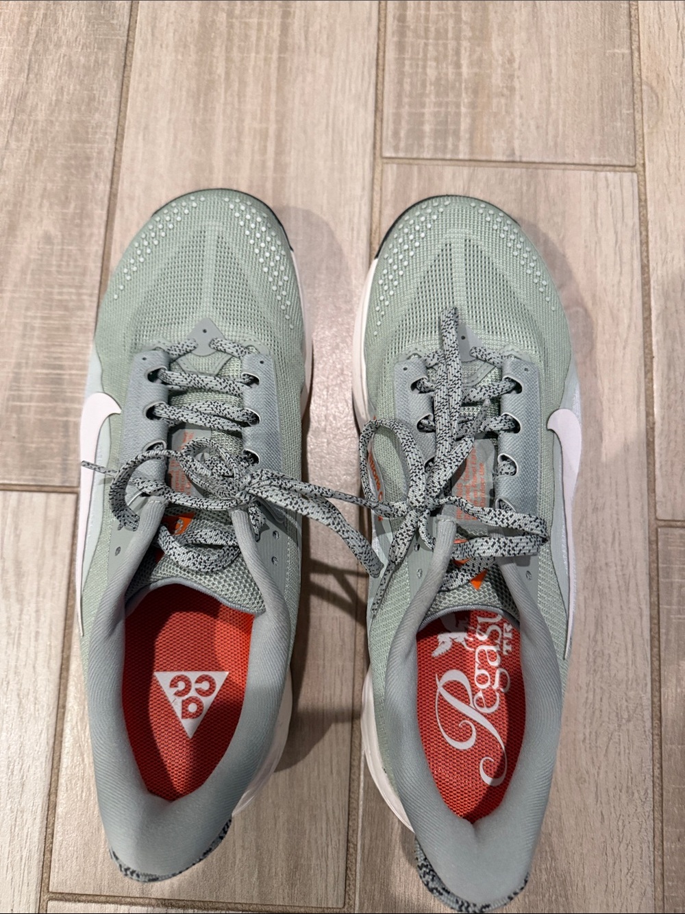 Nike Pegasus Trail Running Shoes